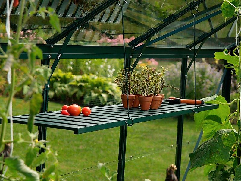 Vitavia Wandregal, grün, BxT: 120x31 cm günstig online kaufen