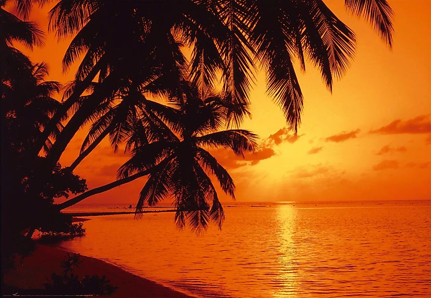 Papermoon Fototapete »Tropic Sunset« günstig online kaufen