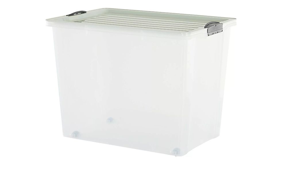 Rotho Aufbewahrungsbox mit Deckel - grün - Kunststoff - 39,5 cm - 43,5 cm - günstig online kaufen