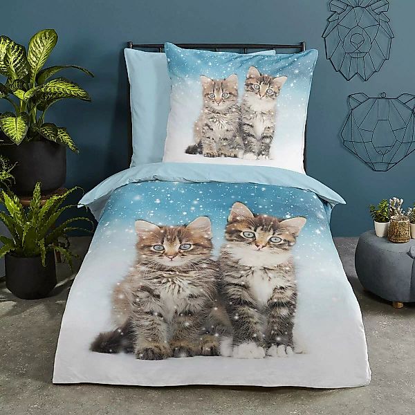 Traumschlaf Flanell Bettwäsche Katzen günstig online kaufen