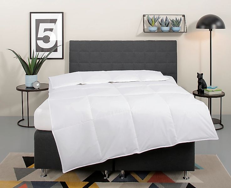 my home Daunenbettdecke "Cyra, Bettdecke 135x200 cm, 155x220 cm" normal Fül günstig online kaufen