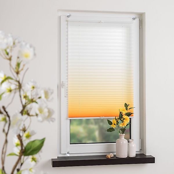 HOMBERA Plissee Farbverlauf, ohne Bohren, verspannt günstig online kaufen