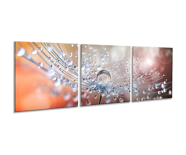artissimo Glasbild mehrteiliges Glasbild 150x50cm Bild aus Glas 3-Teiler Pu günstig online kaufen