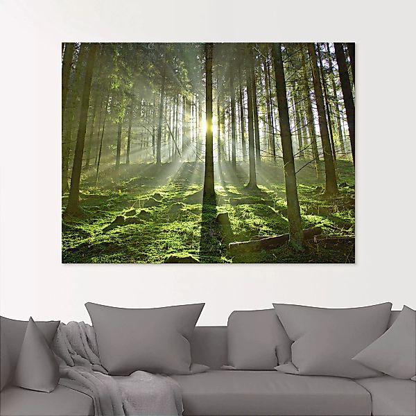 Artland Glasbild "Wald im Gegenlicht", Wald, (1 St.) günstig online kaufen