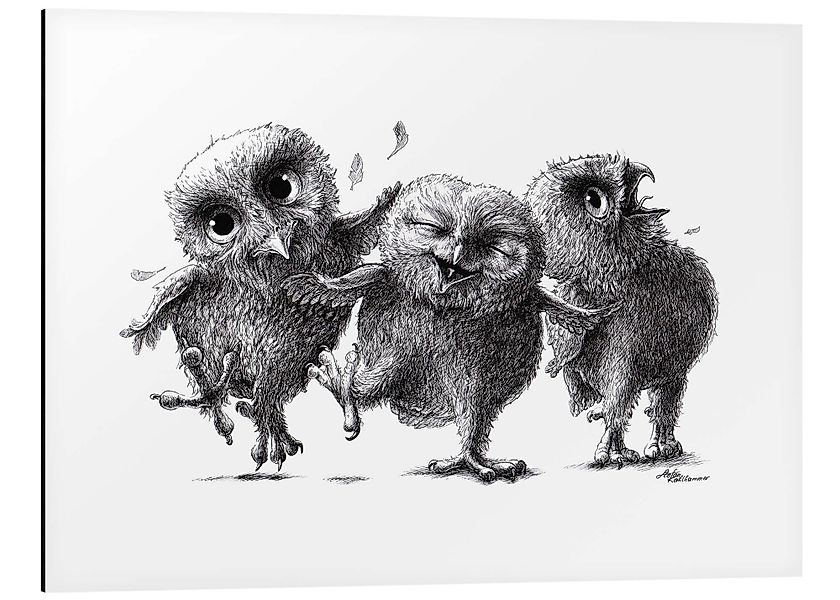 Posterlounge Wandbild Drei verrückte Eulen, Stefan günstig online kaufen