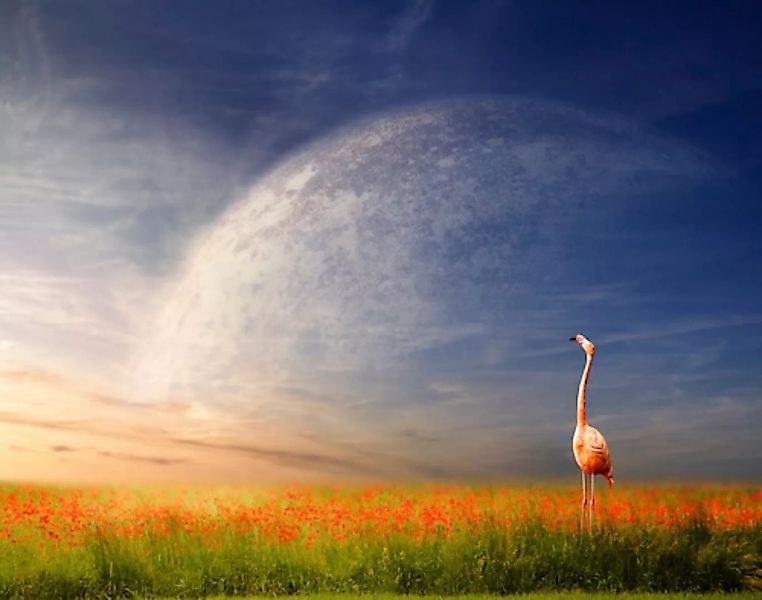 Papermoon Fototapete »Flamingo in Blumenwiese« günstig online kaufen