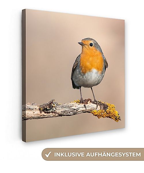 OneMillionCanvasses® Leinwandbild Rotkehlchen - Vogel - Zweig - Tiere, Foto günstig online kaufen
