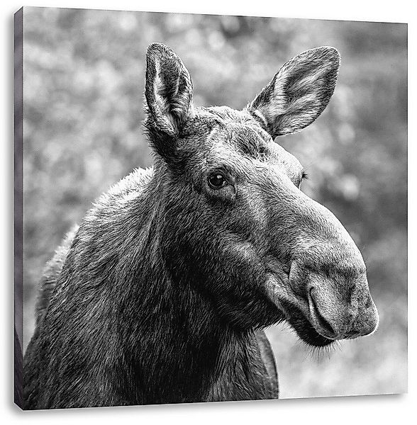Pixxprint Leinwandbild Elch im Wald Kunst B&W, Elch im Wald Kunst B&W (1 St günstig online kaufen