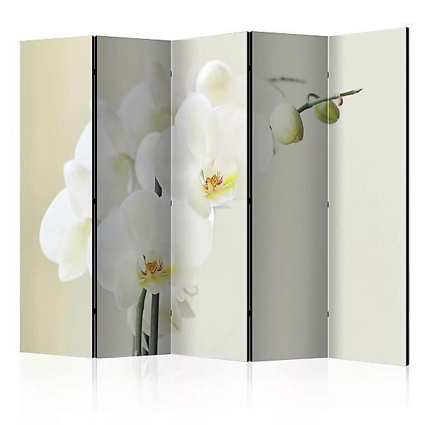 5-teiliges Paravent - White Orchid Ii [room Dividers] günstig online kaufen
