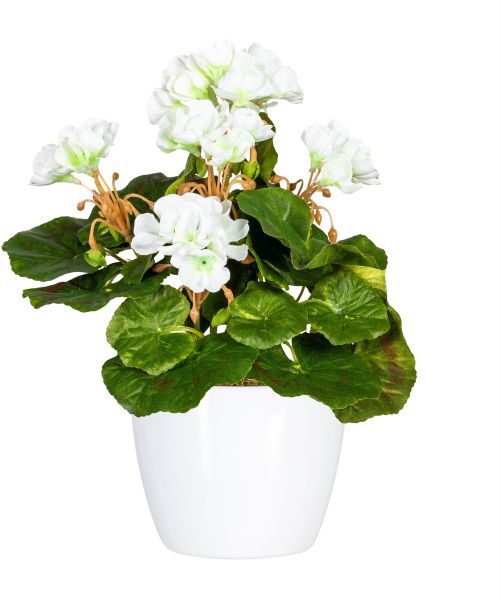 Home affaire Kunstpflanze "Havel" im Topf, 2er Set günstig online kaufen