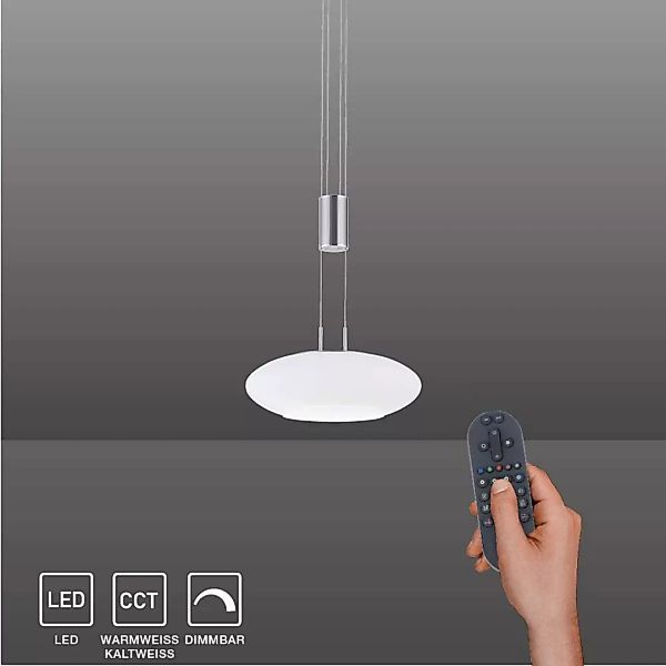 Paul Neuhaus Smarte LED-Leuchte LED Pendellampe günstig online kaufen