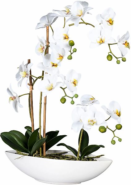 Creativ green Kunstorchidee "Phalaenopsis", im Keramikschiff günstig online kaufen