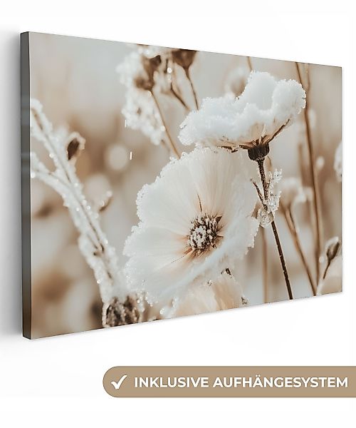 OneMillionCanvasses® Leinwandbild Blumen - Winter - günstig online kaufen