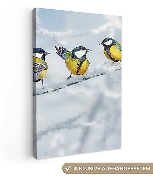 OneMillionCanvasses® Leinwandbild Vogel - Kohlmeise - Winter - Schnee - Zwe günstig online kaufen