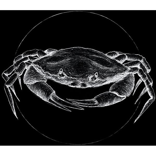 Komar Bild "Crab Black" Tiere 1 Stk. tlg. Wandbild zur Dekoration - ohne Ra günstig online kaufen