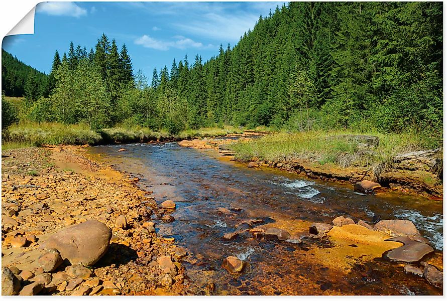 Artland Wandbild "Fluss Neagra, Caliman-Nationalpark", Gewässer, (1 St.), a günstig online kaufen