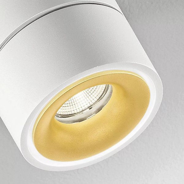 Egger DLS LED-Deckenspot Clippo S Duo, 2-flammig, weiß-gold günstig online kaufen