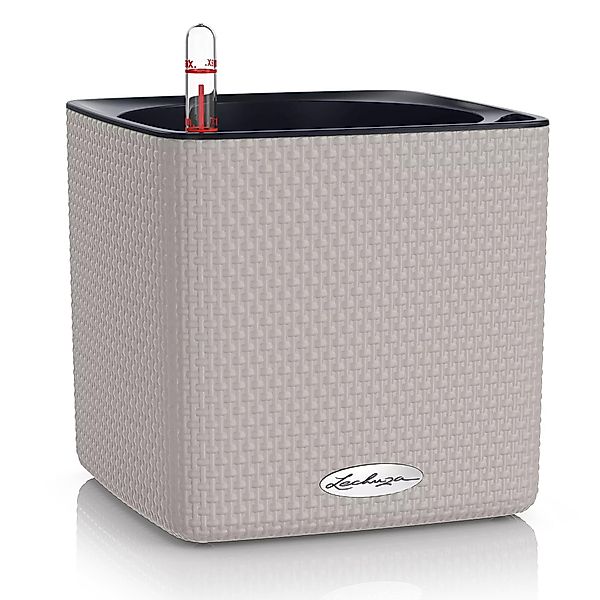 Lechuza® Blumentopf Cube Color 16 sandbraun günstig online kaufen