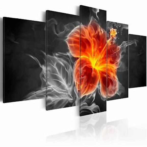 artgeist Wandbild Smoky flower mehrfarbig Gr. 200 x 100 günstig online kaufen
