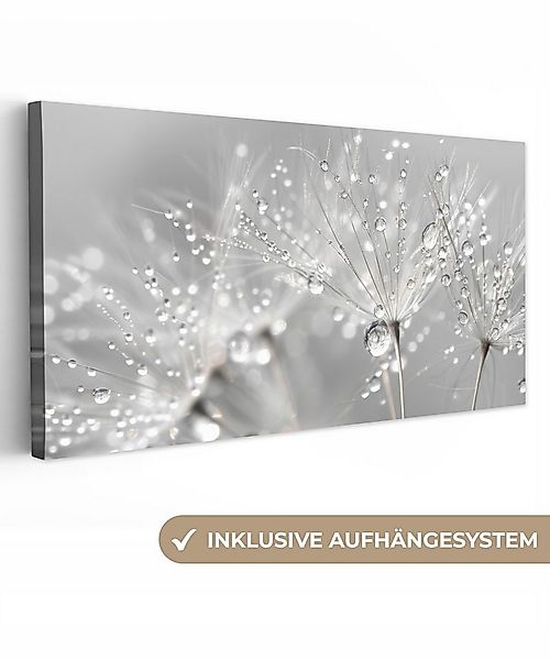 OneMillionCanvasses® Leinwandbild Panorama Löwenzahn - Wassertropfen - Stil günstig online kaufen
