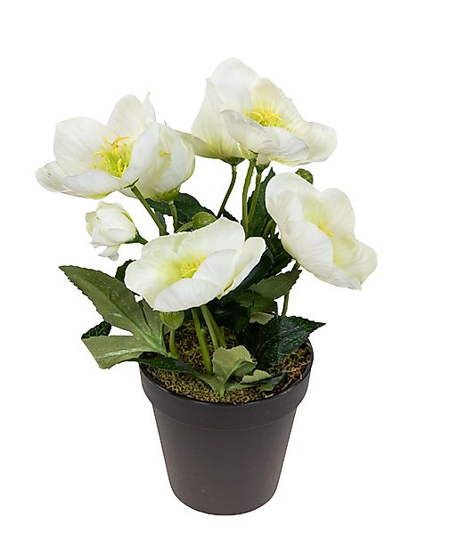 Kunstblume Christrosenbusch im Topf PM Kunstpflanzen günstig online kaufen