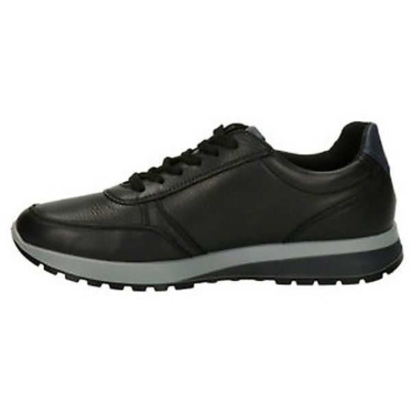 Ara  Sneaker Freizeit Schnürer für Herren günstig online kaufen