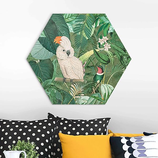 Hexagon-Alu-Dibond Bild Vintage Collage - Kakadu und Kolibri günstig online kaufen