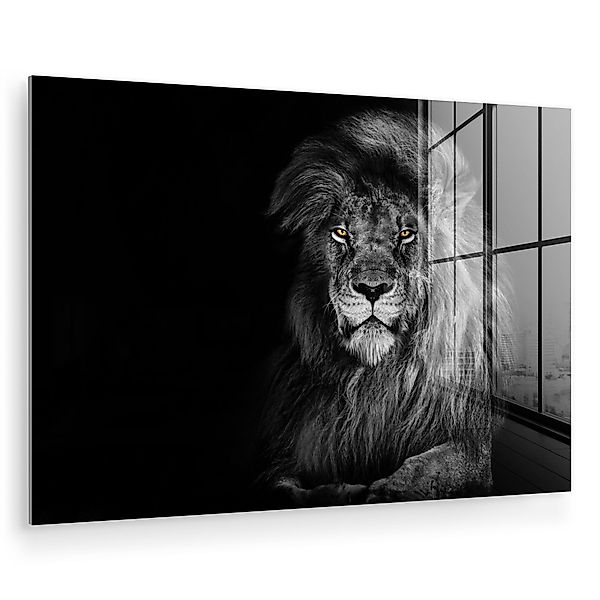 MuchoWow Acrylglasbild Löwe - Augen - günstig online kaufen