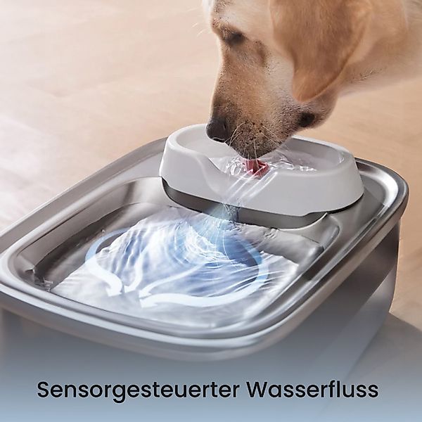 AstroPet Trinkbrunnen Haustier-Trinkbrunnen XL Poseidon Kabel günstig online kaufen