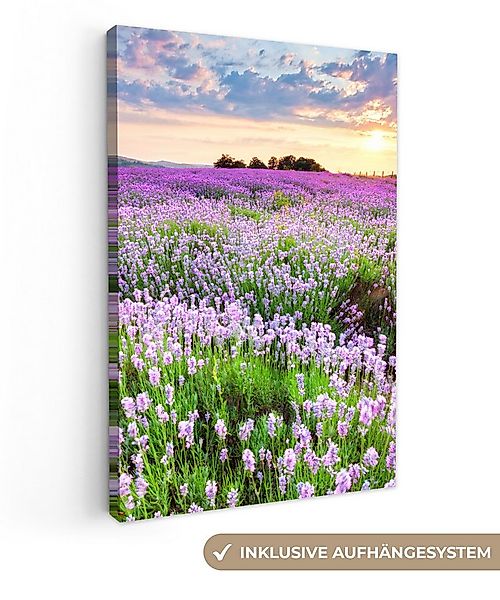 OneMillionCanvasses® Leinwandbild Lavendel - Blumen - Sonnenuntergang - Lil günstig online kaufen