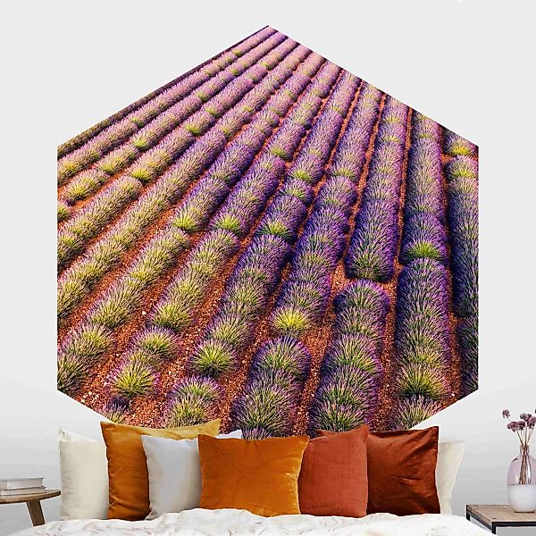 Hexagon Fototapete selbstklebend Malerisches Lavendelfeld günstig online kaufen