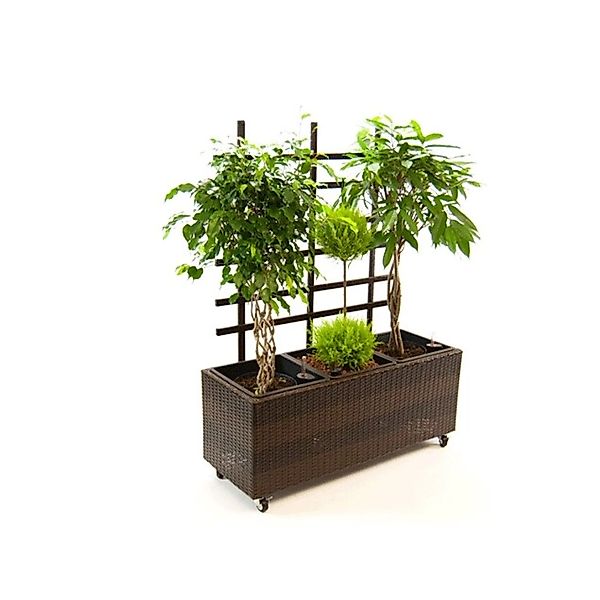 Elegant Einrichten Pflanzkübel Polyrattan mit Rankgitter Rechteckig 106x38x günstig online kaufen