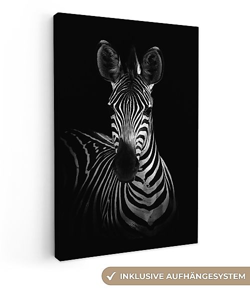OneMillionCanvasses® Leinwandbild Zebra - Tiere - günstig online kaufen