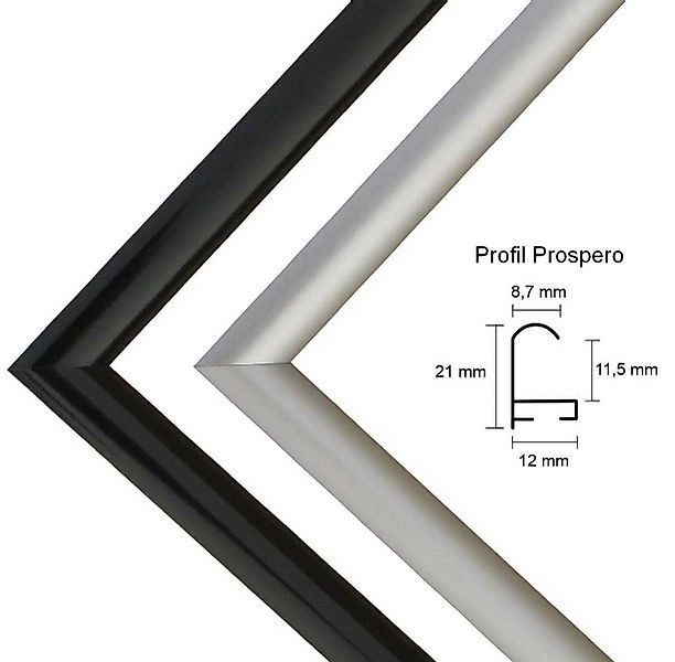 myposterframe Einzelrahmen Bilderrahmen Prospero, (1 Stück), günstig online kaufen