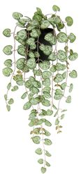 I.GE.A. Kunstpflanze "Kunstpflanze Leuchterblume Hängende Pflanzen künstlic günstig online kaufen