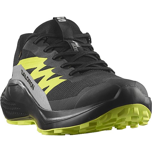 Salomon Trailrunningschuh "ALPHAGLIDE GORE-TEX", wasserdicht günstig online kaufen