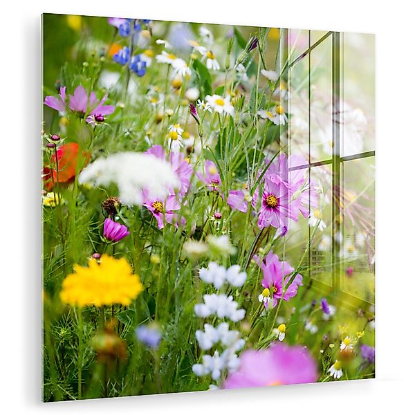 MuchoWow Acrylglasbild Blumen - Natur - günstig online kaufen