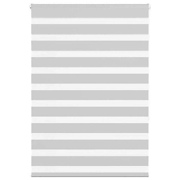 vidaXL Doppelrollo Hellgrau 100x150 cm Stoffbreite 95,9 cm Polyester 401444 günstig online kaufen