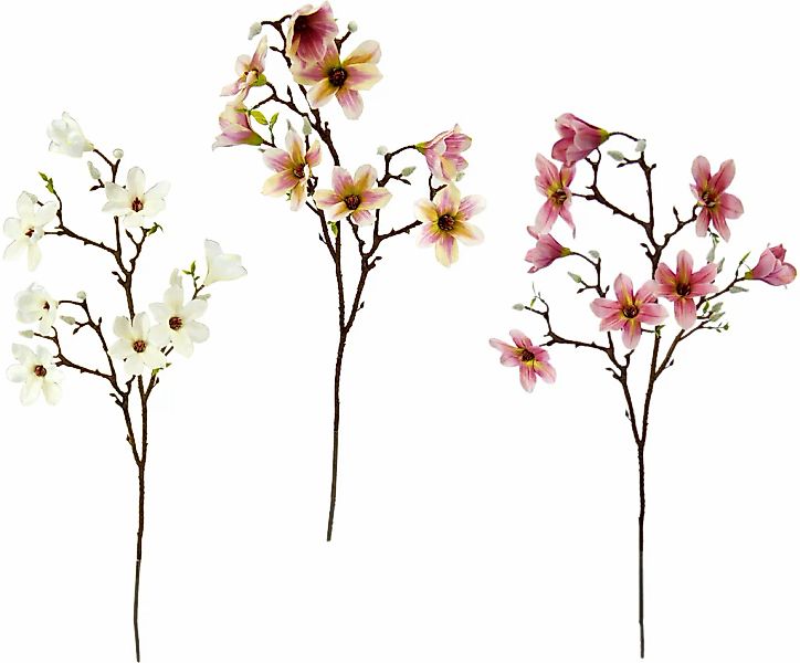 I.GE.A. Kunstblume "Magnolienzweig", 3er Set günstig online kaufen