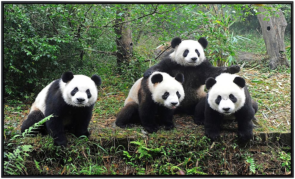 Papermoon Infrarotheizung »Pandafamilie«, sehr angenehme Strahlungswärme günstig online kaufen