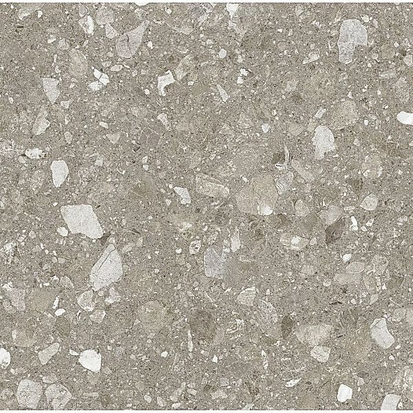 Bodenfliese Feinsteinzeug Taupe 60 cm x 60 cm günstig online kaufen