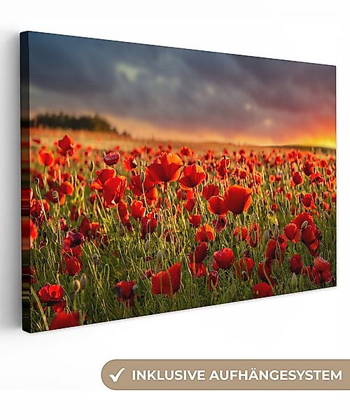 OneMillionCanvasses® Leinwandbild Sonnenuntergang - Mohnblumen - Rot - Blum günstig online kaufen
