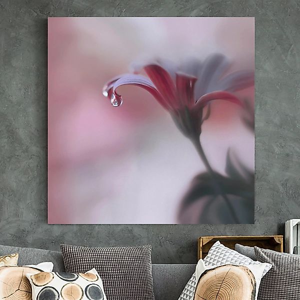 Leinwandbild Blumen - Quadrat Invisible Touch günstig online kaufen