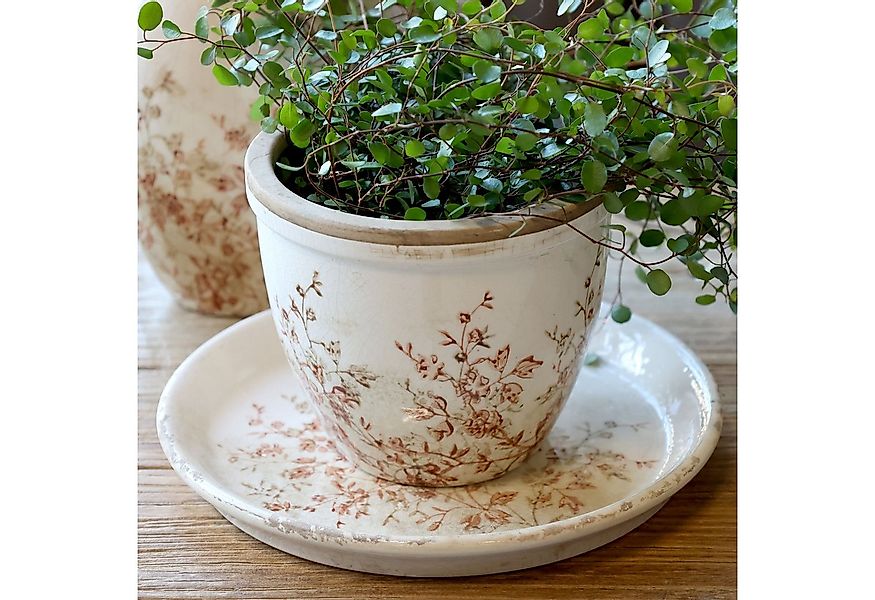 Chic Antique Übertopf Chic Antique * Chaville Übertopf H10,5/D12,5 cm creme günstig online kaufen