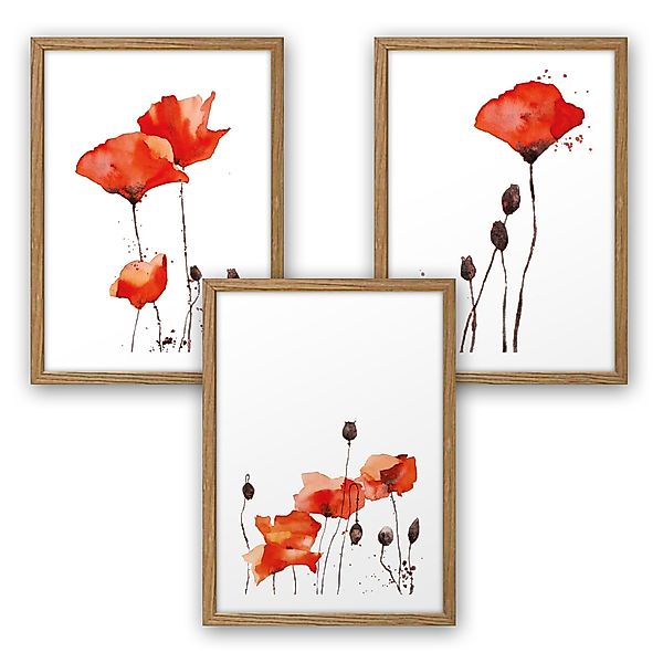 Kreative Feder Poster, Mohnblume, Blüte, Blume, günstig online kaufen