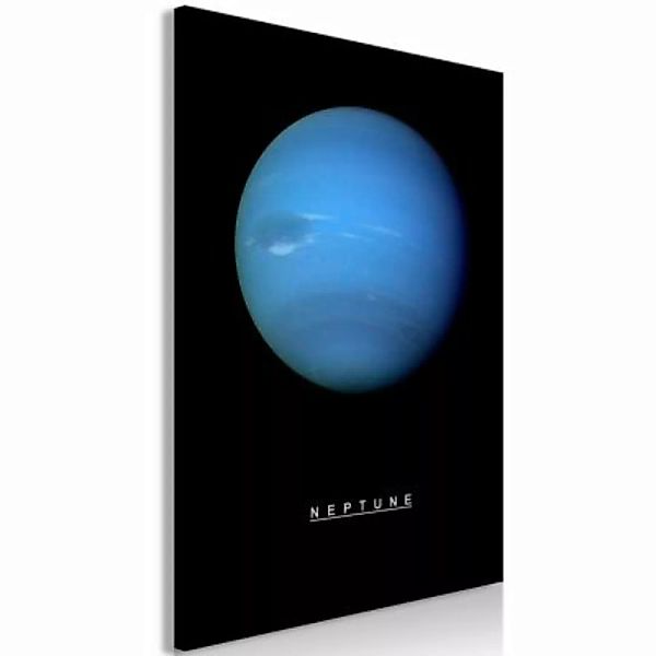 artgeist Wandbild Neptune (1 Part) Vertical mehrfarbig Gr. 40 x 60 günstig online kaufen