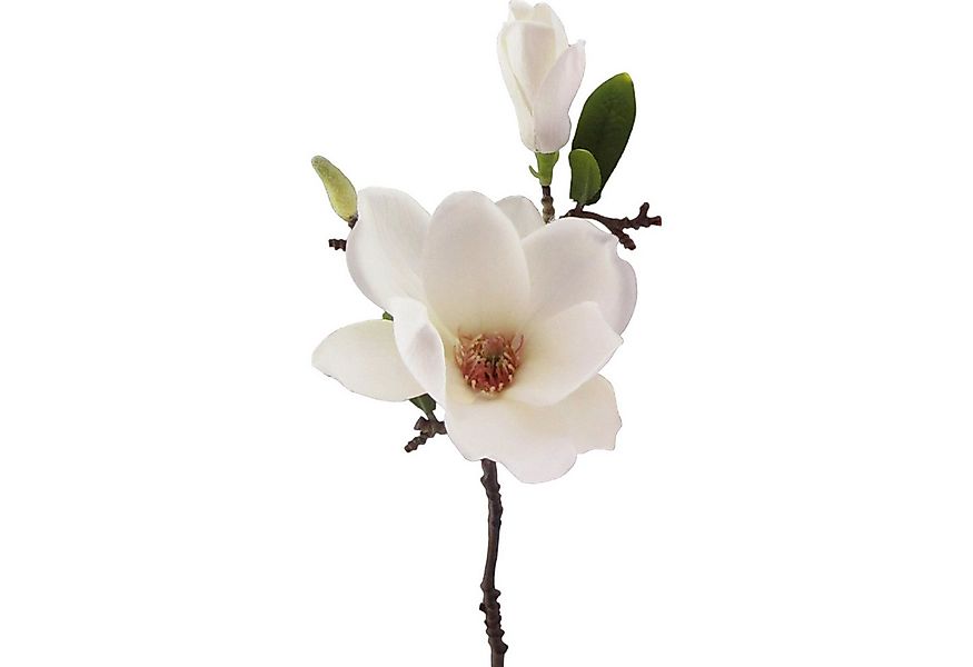 Kunstblume Kunstblume MAGNOLIE 37cm. Mit Magnolienblüte und Knospe., Gasper günstig online kaufen
