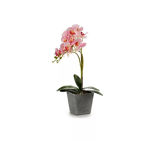 Deko-blumen Orchidee Kunststoff Blumentopf Grau (18 X 53 X 28 Cm) günstig online kaufen