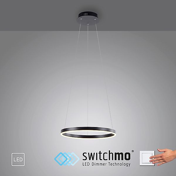 JUST LIGHT Pendelleuchte RITUS, LED fest günstig online kaufen