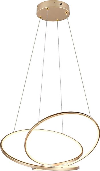 TRIO Leuchten LED Pendelleuchte DARVIN, LED günstig online kaufen